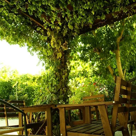 Loxandra Mini-hôtel