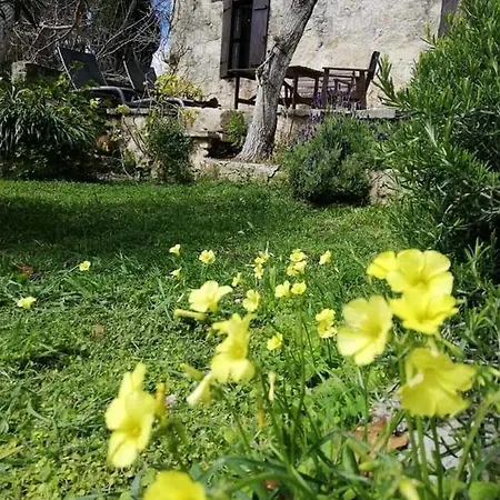 Loxandra Mini-hôtel Kathikas